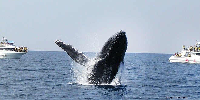 Visiting Japan? Don t Miss Okinawa: The Legendary Land of Immortals